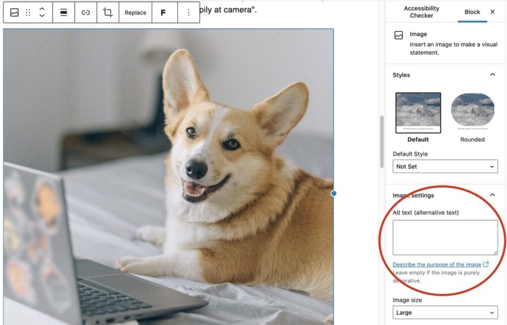 Screenshot of an image editing panel in a CMS highlighting a blank Alt Text field in a red circle, demonstrating a common failure where an informative photo of a dog lacks an alternative description.
